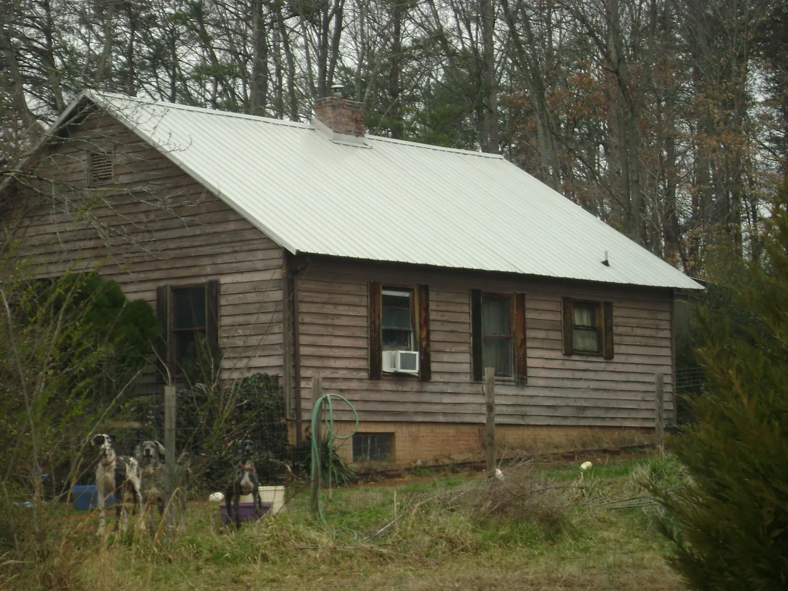 White metal roof on an old wood sided farmhouse, from a Asphalt Shingle Roof Repair job in Melrose